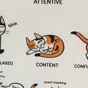 Meet your Posher, Div